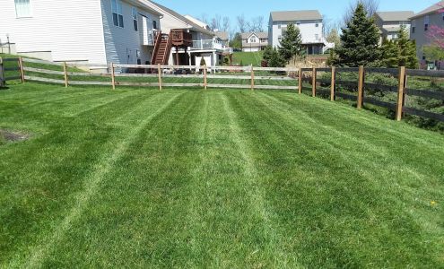 Matt's Miracle Lawn