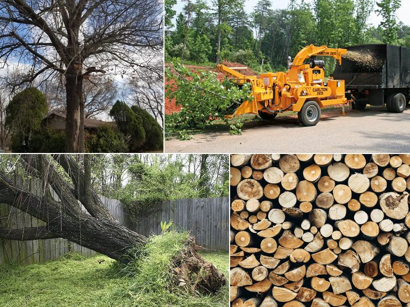 Broken Arrow Tree Services