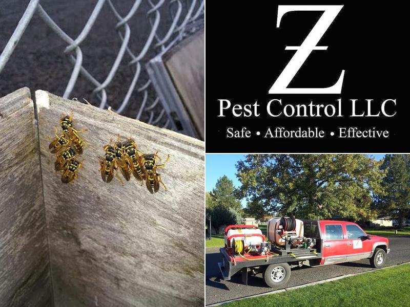 Z Pest Control LLC