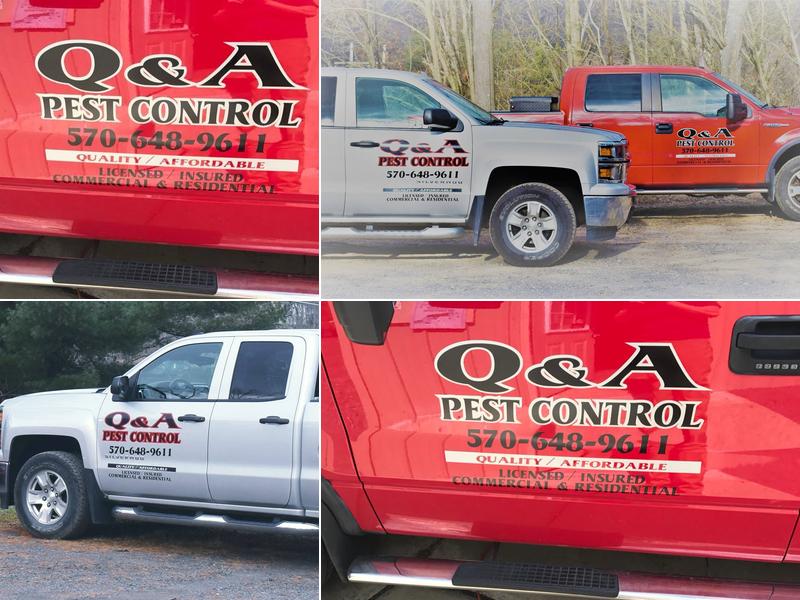 Q & A Pest Control