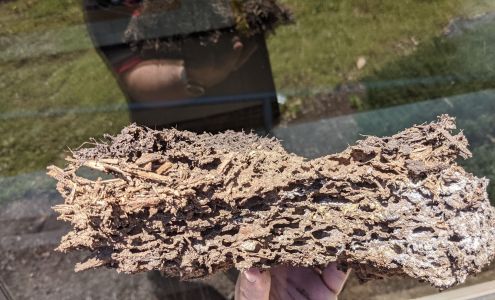 Chamberlin's Pest Control LLC 8 N High St, Newburg Pennsylvania 17240