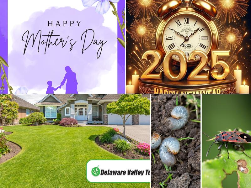 Delaware Valley Turf