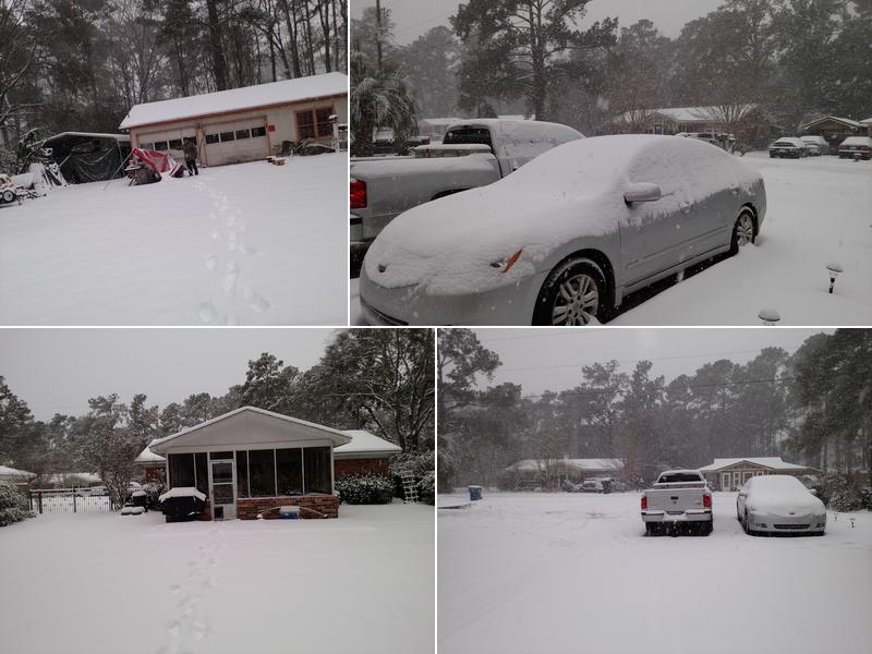 Nick's Pest Control LLC