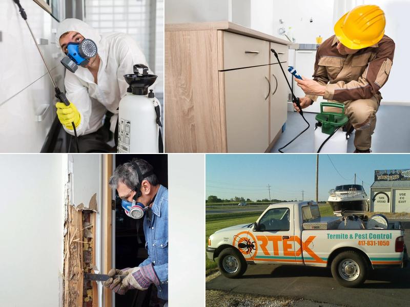 Ortex Termite and Pest Control
