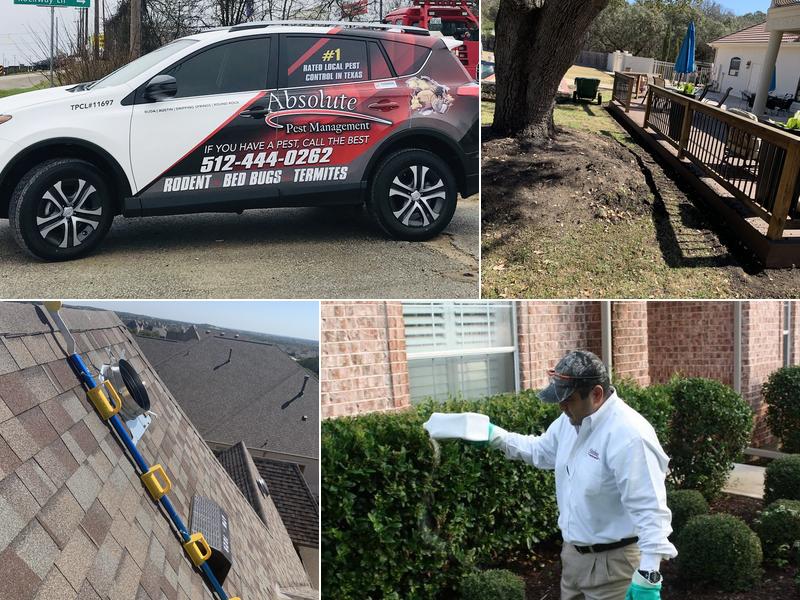 Absolute Pest Management