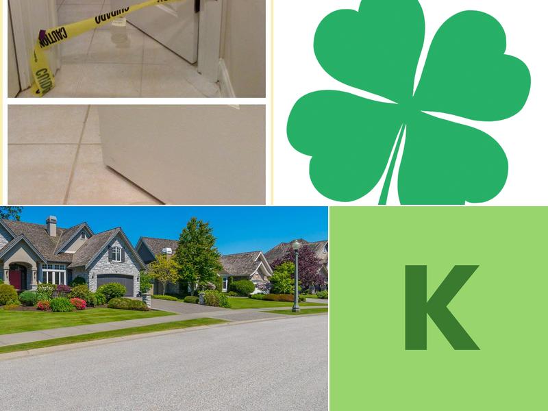 Kingston Pest Control