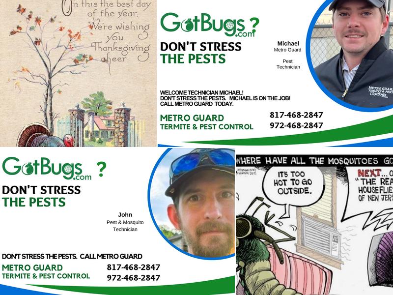 Metro Guard Termite and Pest