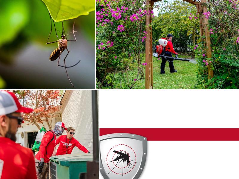 Mosquito Shield of Greater San Antonio