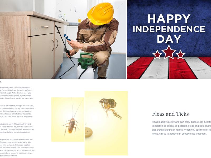 HOME SOLUTIONS: PEST CONTROL