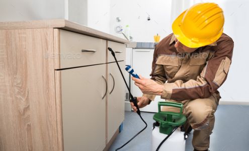 HOME SOLUTIONS: PEST CONTROL