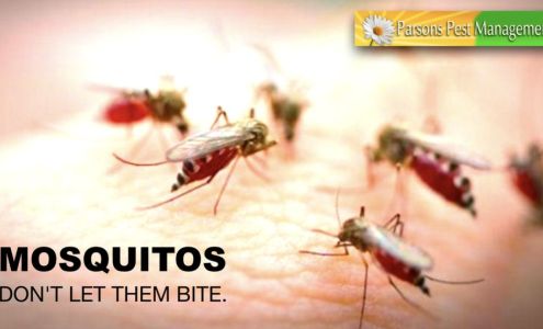 Parsons Pest Management Store