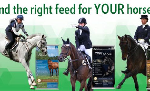 Highway 339 Feed & Farm Supply Abbeville