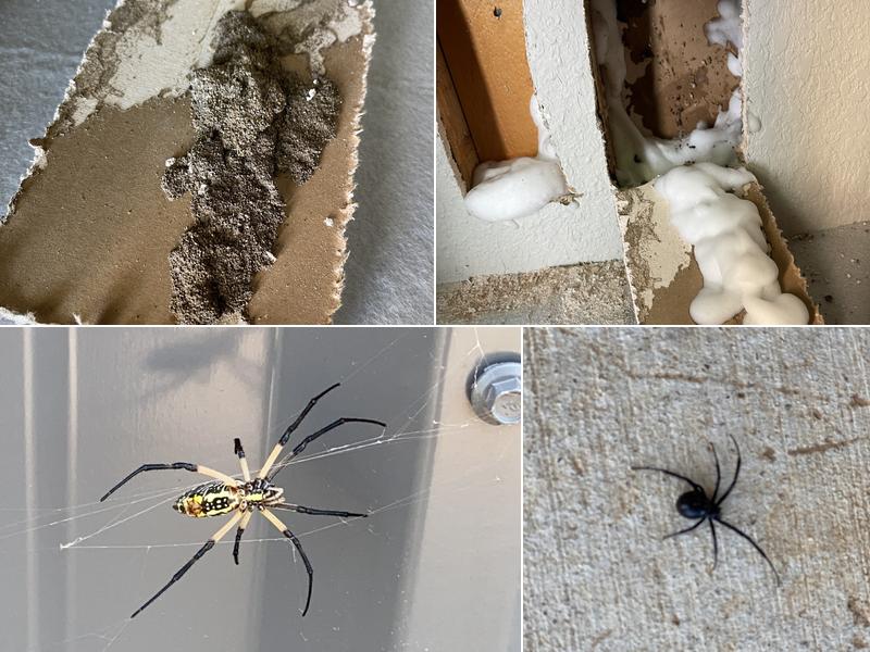 Integra Termite & Pest Control, LLC