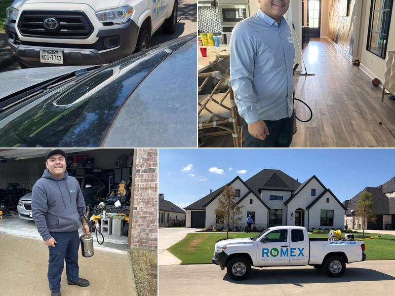 Romex Pest & Termite Control