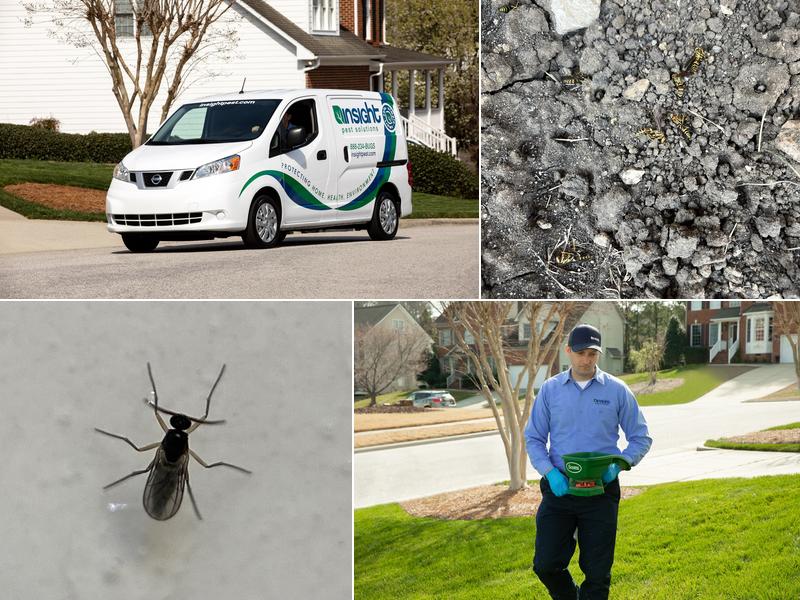 Insight Pest Solutions