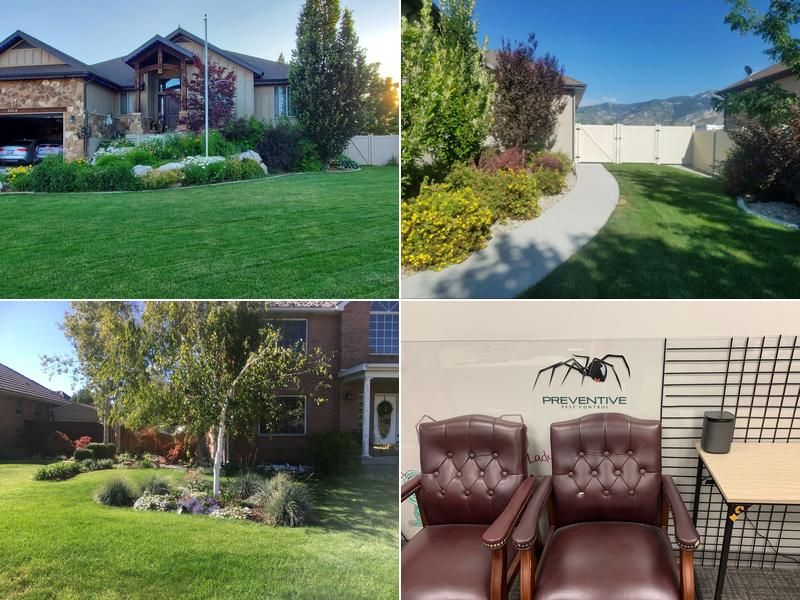 Preventive Pest Control