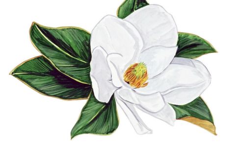 Steel Magnolia Notary Service