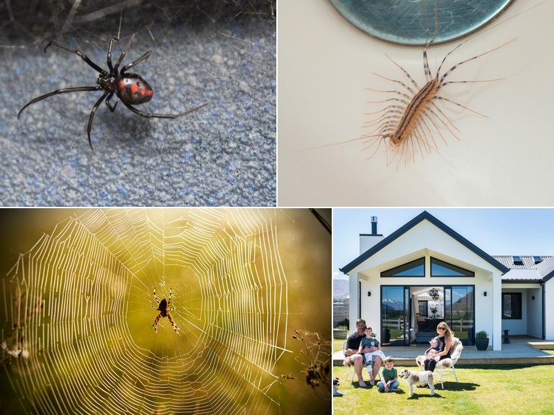 Bybee Pest Control LLC