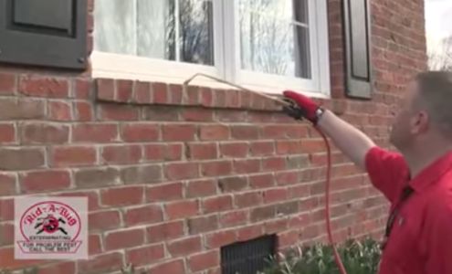 Rid-A-Bug Pest Control 161 Pounding Mill Branch Rd, Pounding Mill Virginia 24637