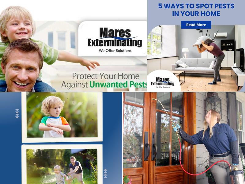 Mares Exterminating