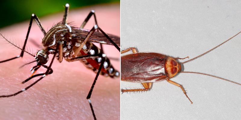 H W T Pest Control Solutions