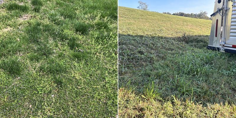 Meriweather Mowing Service