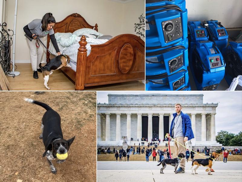 Cimex K9 Bed Bug Control