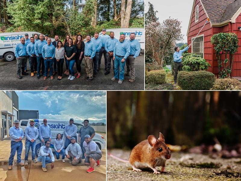 Insight Pest Control - Olympia