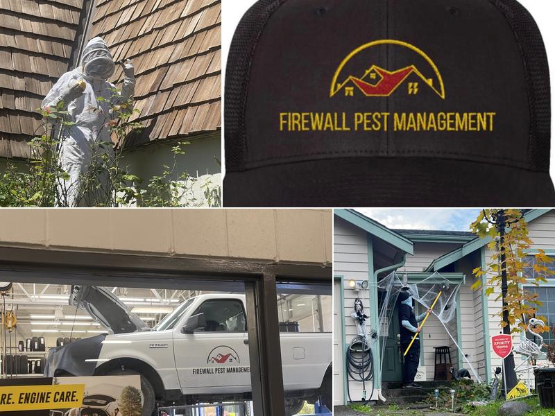 Firewall Pest Management
