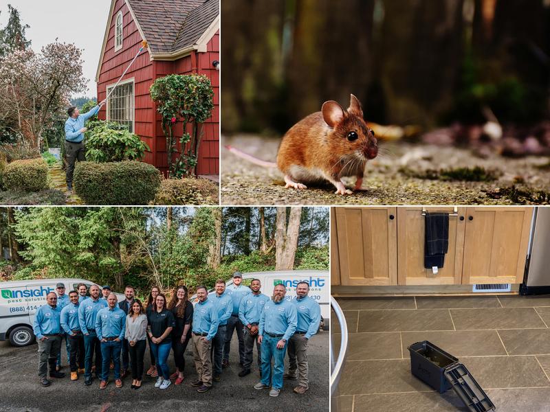 Insight Pest Control - Bellevue