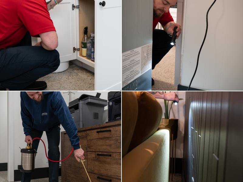 Tip Top Pest Services