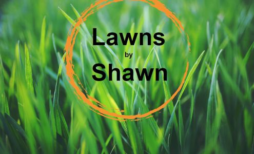 Lawns By Shawn