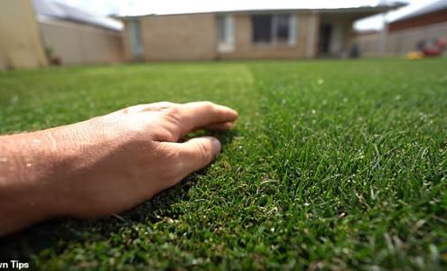 Valley Organics Lawn Company