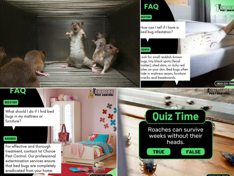 1st Choice Pest Control LLC