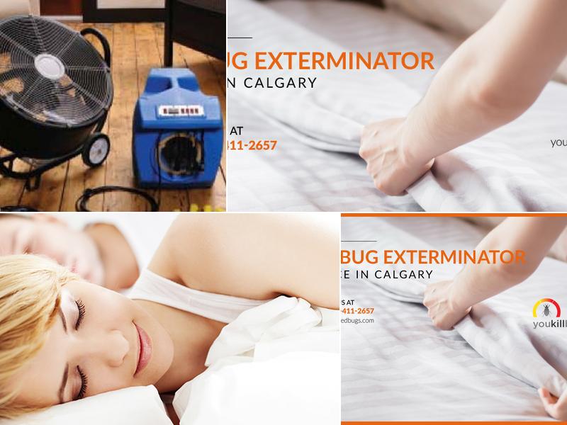 You Kill Bed Bugs Ltd.