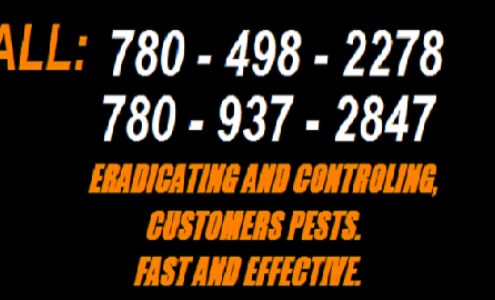 Provincial Pest Control