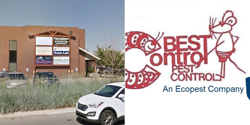 Best Control Pest Control Ltd