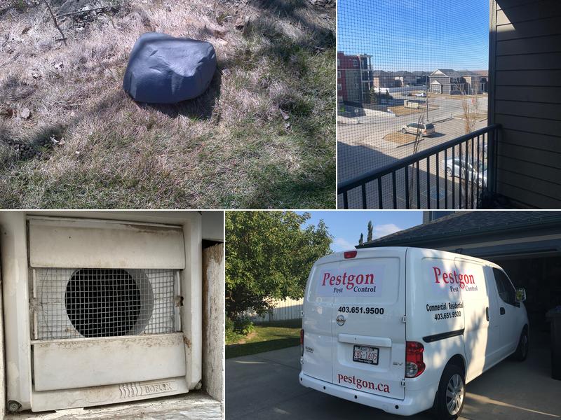 Pestgon Pest Control