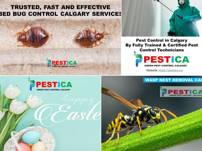 Pestica Green Pest Control Calgary