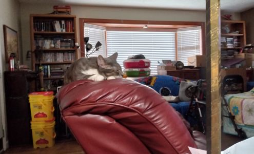 Rossville Auction Services Rossville