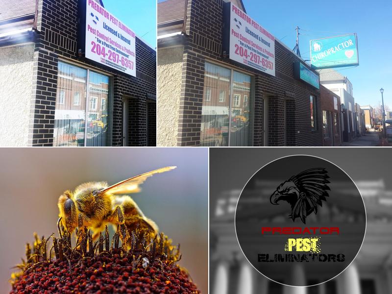 Predator Pest Eliminator