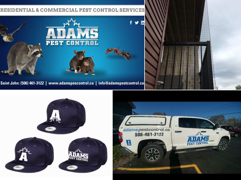 Adams Pest Control Saint John