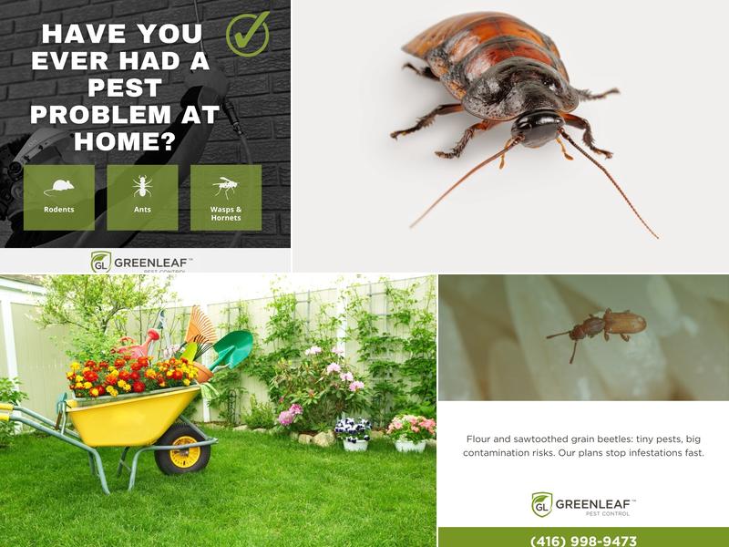 GreenLeaf Pest Control