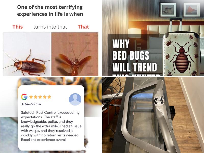 SAFETECH PEST CONTROL