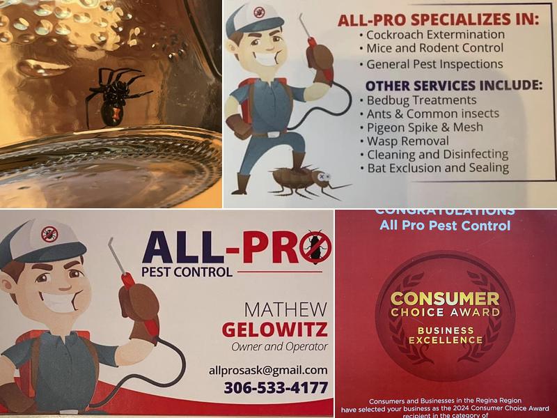 ALL-PRO Pest Control
