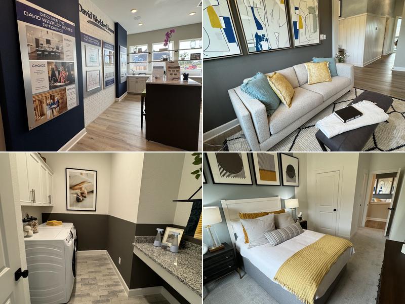 Pine Trails - David Weekley Homes