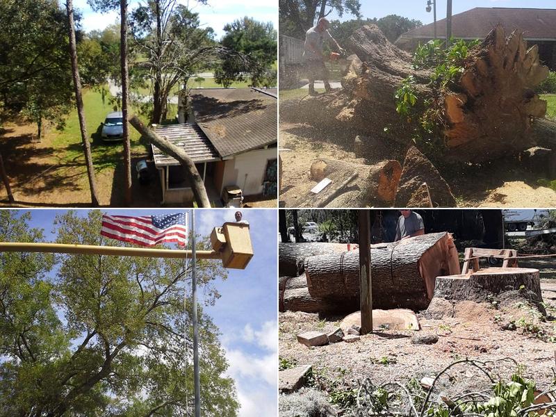 Greentree tree service