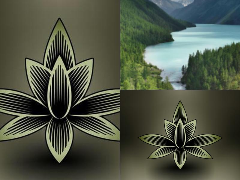 Pittsburgh Classical Acupuncture