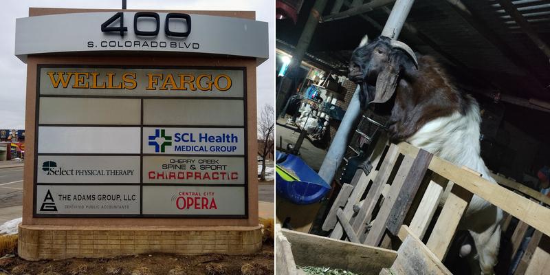 The Adams Group, LLC