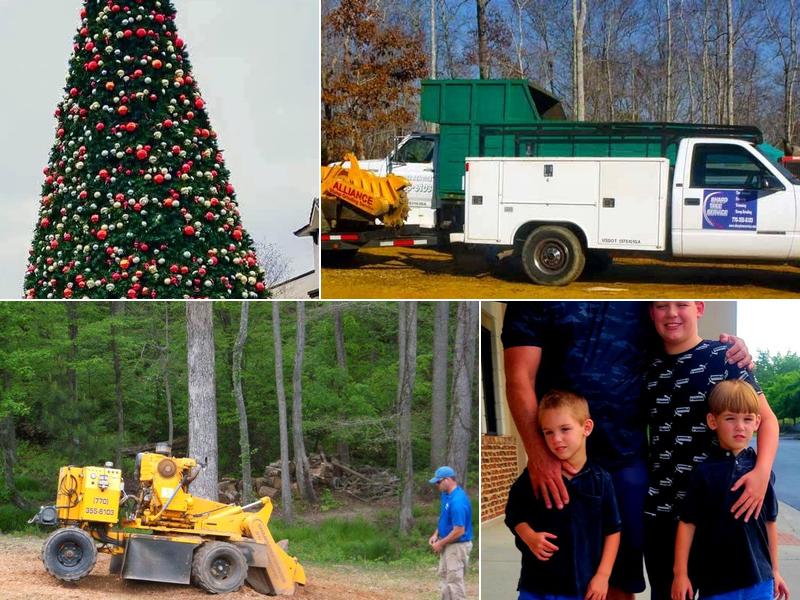 Sharp Tree Service and Sawmill Cumming, GA